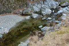 透明度の高い山上川