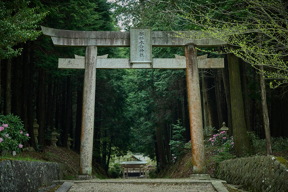 倉本酒造から約5km、都祁友田町の水の神、都祁水分神社（つげみくまりじんじゃ）