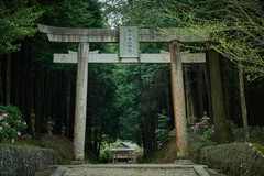 倉本酒造から約5km、都祁友田町の水の神、都祁水分神社（つげみくまりじんじゃ）