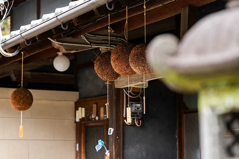 倉本酒造の母屋の軒下の三輪明神の杉玉