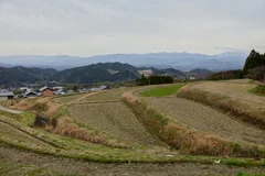 「山麓蔵」の前の棚田。すぐ近くに風の森峠、遠方に吉野の山並みが連なる