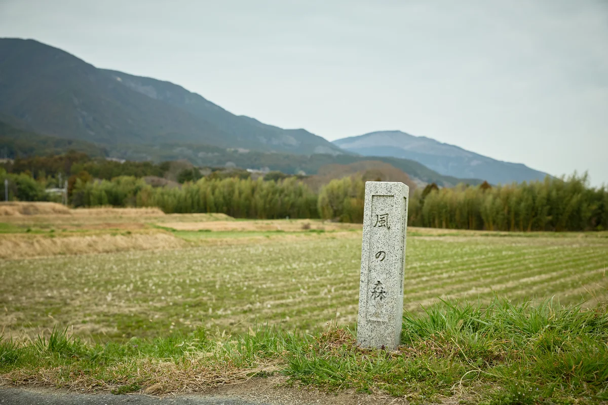 常に一定の風が吹いているという葛城山麓の風の森峠